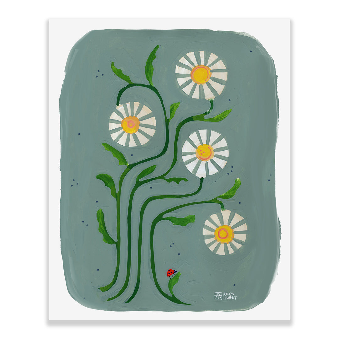 Adam Trest Backyard Bouquet | Daisies in Blue Print