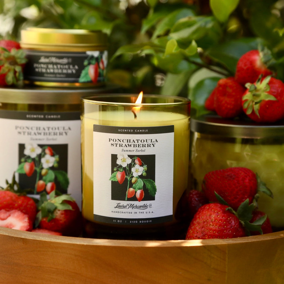 Ponchatoula Strawberry Candle