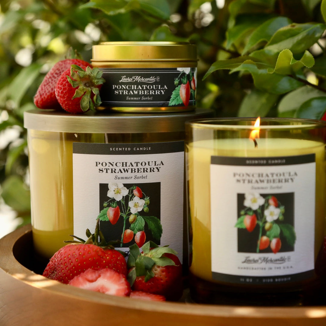 Ponchatoula Strawberry Candle