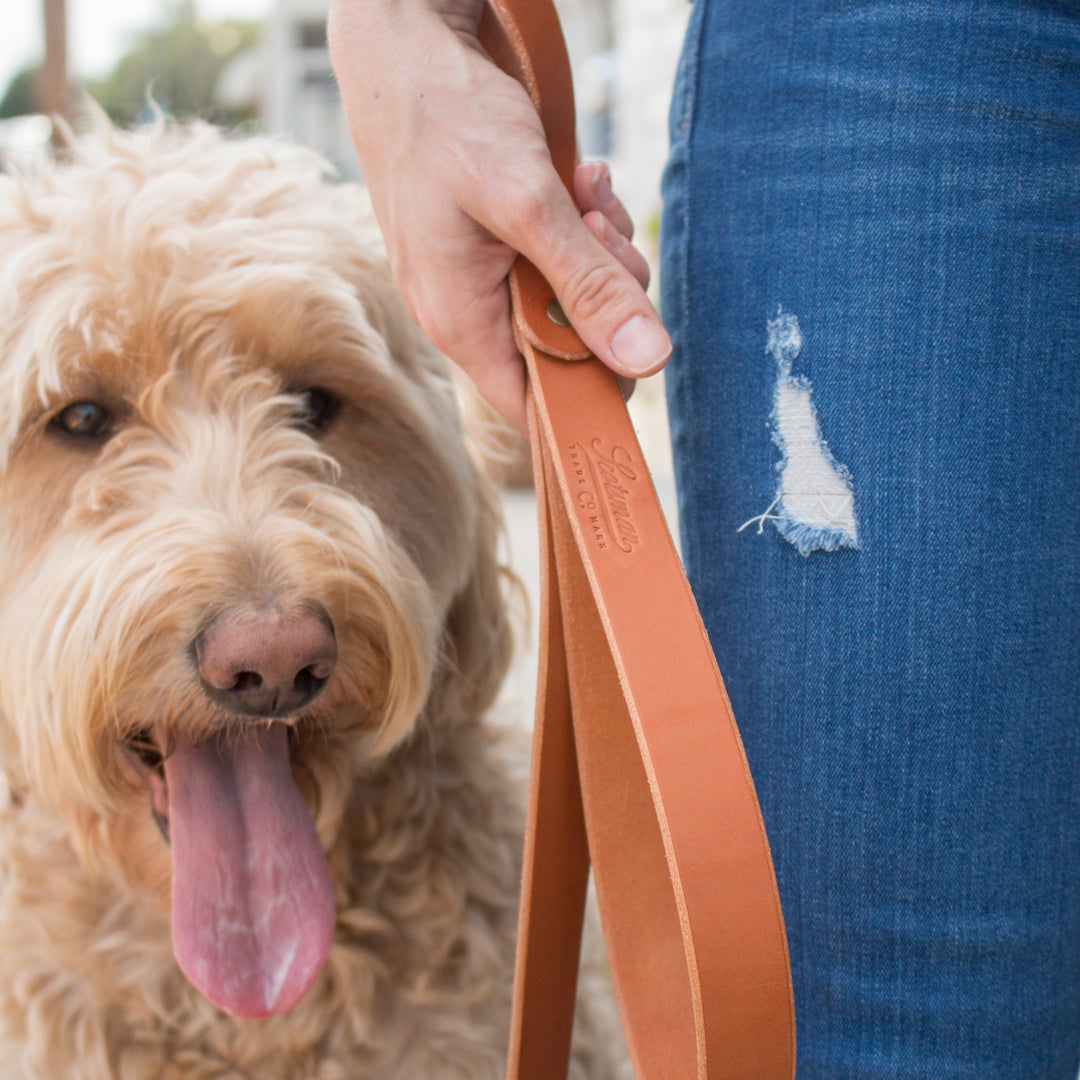 Scotsman Leather Dog Leash