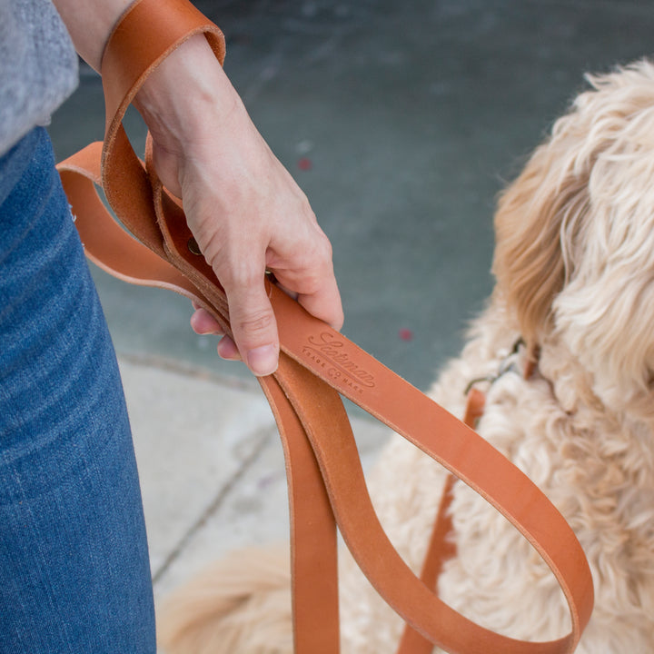 Scotsman Leather Dog Leash