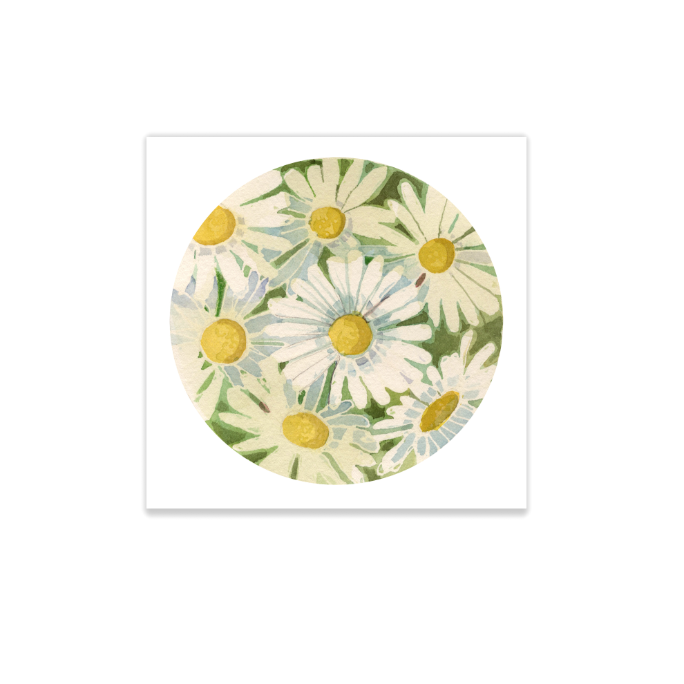 Adam Trest Tiny Art | Daisies Print – Laurel Mercantile